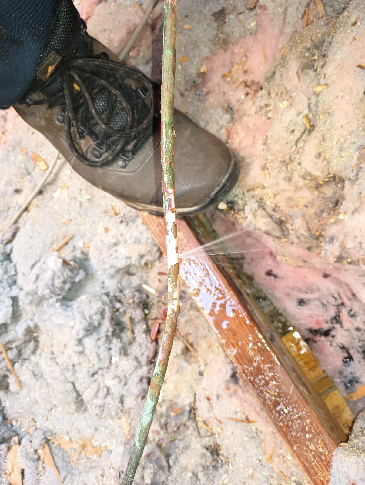 FAQ picture on blue background